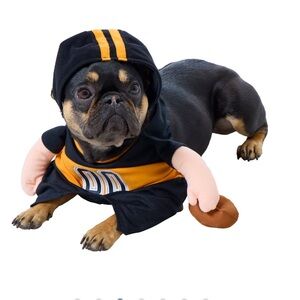 Adorable Orange and Black Football Jersey Walking Dog Pet Costume Size S NEW!